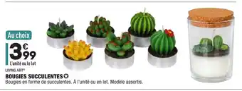 ALDI Bougies Succulentes offre