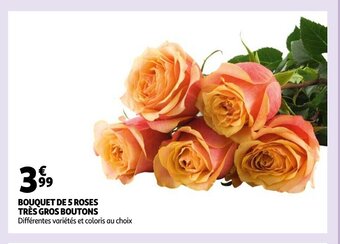 Auchan Bouquet de 5 Roses Tres Gros Boutons offre