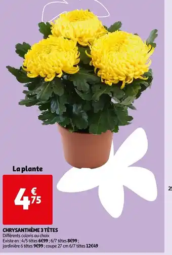 Auchan Chrysanthème 3 têtes offre