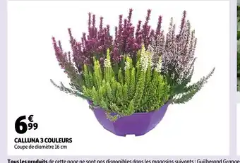 Auchan Calluna 3 Couleurs offre