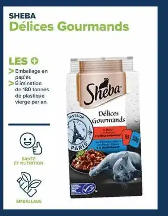 Carrefour Délices gourmands sheba offre