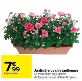 Carrefour Jardinière de chrysanthèmes offre
