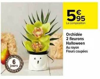 Carrefour Orchidée 2 fleurons halloween offre