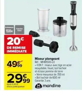Carrefour Mixeur plongeant mandine offre
