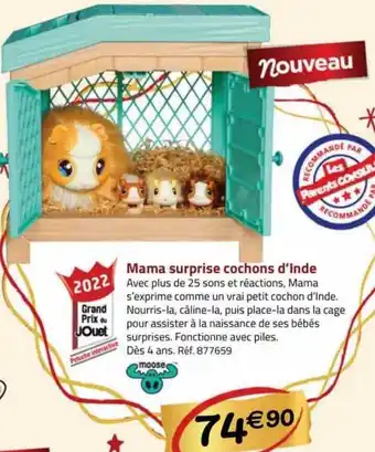 La Grande Récré Mama surprise cochons d'inde moose offre