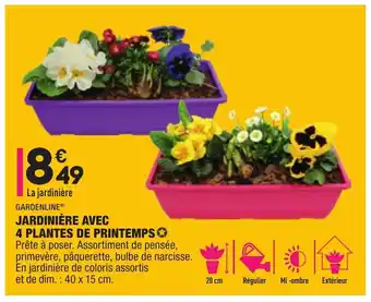 ALDI Jardinière Avec 4 Plantes de Printimps offre