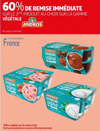Auchan Andros 60% de remise immédiate sur le 2ème produit sur la gamme végétale andros offre