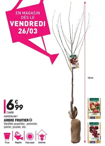 ALDI Arbre Fruitier offre