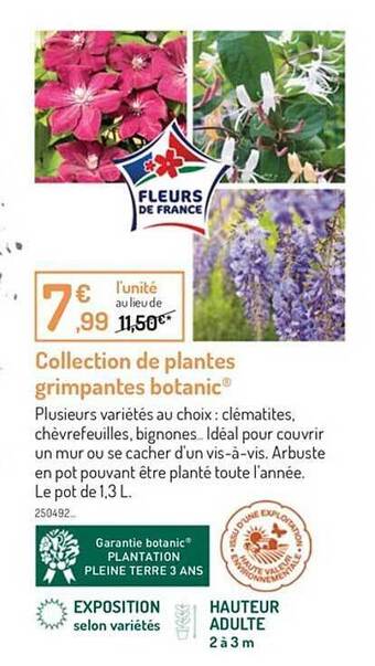 Botanic Collection de plantes grimpantes botanic offre
