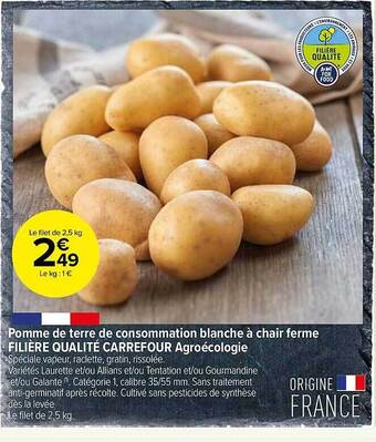 Carrefour Contact Pomme de terre de consommation blanche à chair ferme filière qualité carrefour agroécologie offre