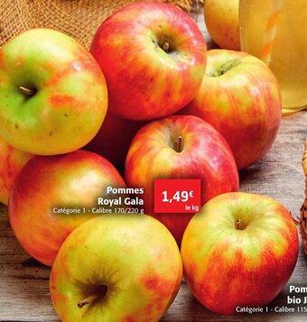 Colruyt Pommes Royal Gala offre