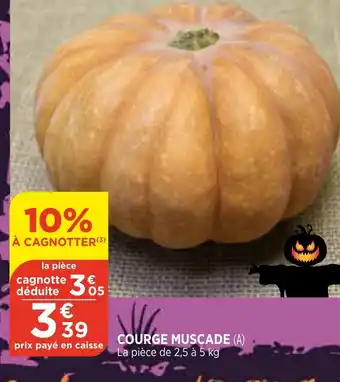 Courge Muscade