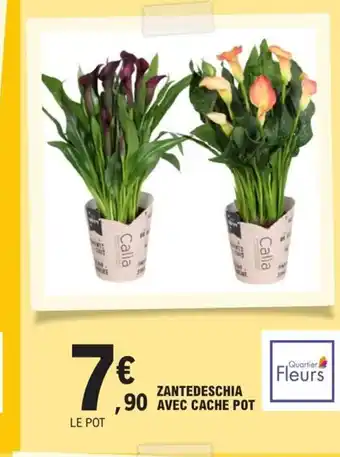 E.Leclerc Zantedeschia Avec Cache Pot offre