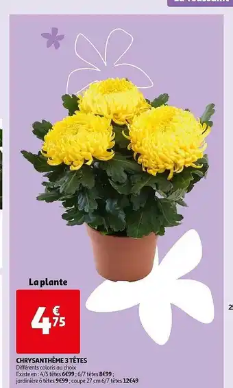 Auchan Chrysanthème 3 têtes offre