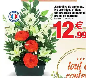 Bazarland Jardinière de camélias, lys orchidées et ficus ou jardinière de magnolias arums et chardons offre