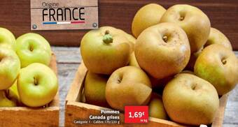Pommes canada grises