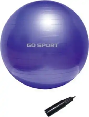 Go Sport Ballon de gym fitness athli-tech ballon de gym offre