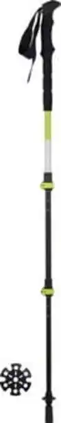 Go Sport Bâtons randonnée wanabee 300 2 unit offre