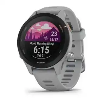Go Sport Montre connectée garmin forerunner 255 s grise offre