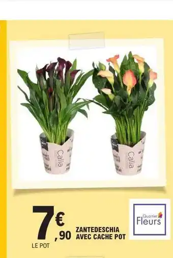 E.Leclerc Zantedeschia avec cache pot offre