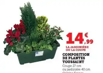 Super U Composition de Plantes Toussaint offre