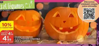 Bi1 Courge décorative à sculpter non comestible jack' o' lantern offre