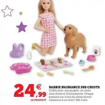 Hyper U Barbie naissance des chiots offre