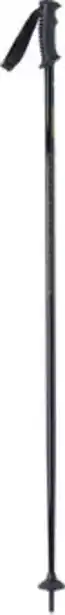 BĂątons ski wanabee pole