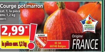 Norma Courge Potimarron offre