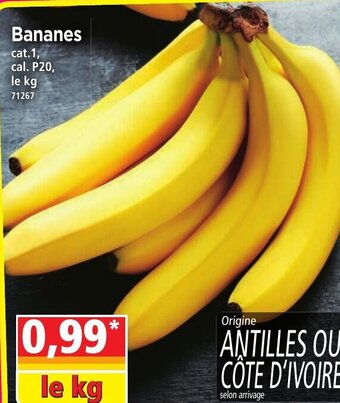 Norma Bananes offre