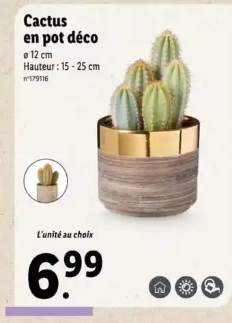 Cactus en Pot Déco