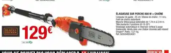 Elagueuse Sur Perche 800w Chaine