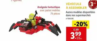 Araignée fantastique