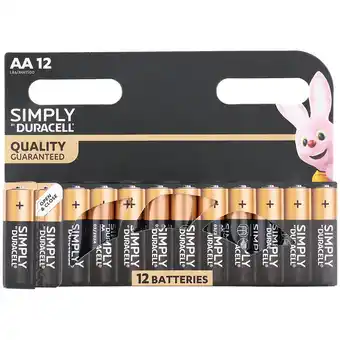 Action Piles Duracell AA offre