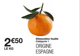 Clémentine feuille