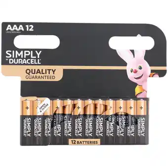 Action Piles Duracell AAA offre