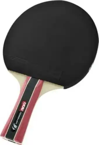 Sport 300 cornilleau sport 300