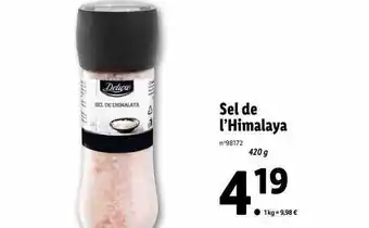 Sel de l'himalaya