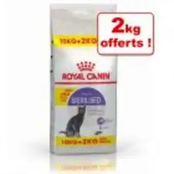 Zooplus Croquettes royal canin pour chat 10 kg + 2 kg offerts ! offre
