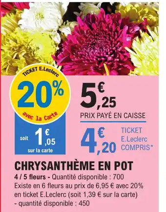 E.Leclerc Chrysanthème En pot offre