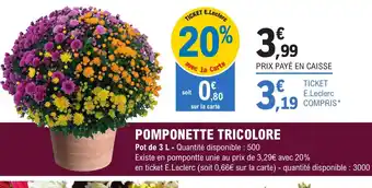 E.Leclerc Pomponette Tricolore offre