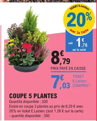 E.Leclerc Coupe 5 Plantes offre