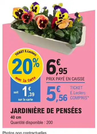 E.Leclerc Jardinière de pensées offre