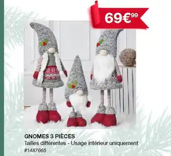 Costco Gnomes 3 pièces offre