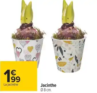 Carrefour Jacinthe offre