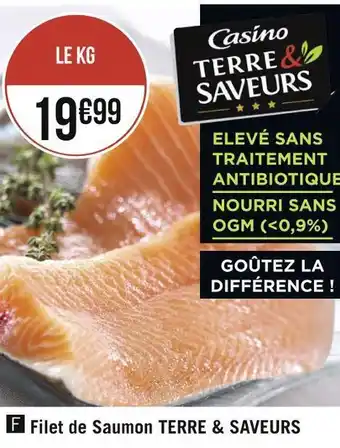 Géant Casino Casino filet de saumon terre & saveurs offre