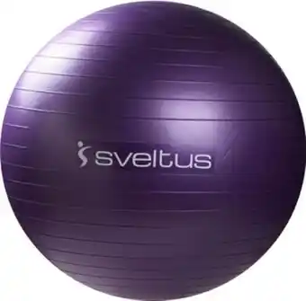 Ballon de gym sveltus 75 cm parme