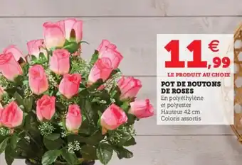 Pot de boutons de roses
