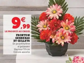 Fronton gerberas et Ćillets