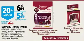 Coupe du monde - panini